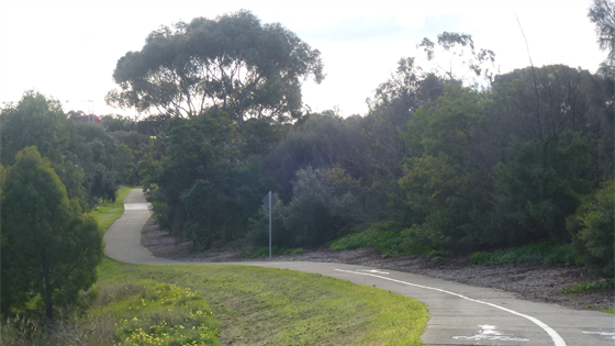 Brimbank Ardeer Green Hub Cycle Sports Master Plan