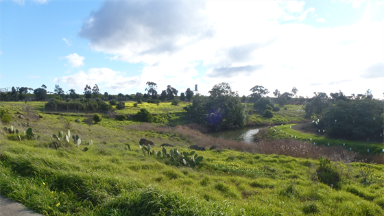 Brimbank Ardeer Green Hub Cycle Sports Master Plan 2