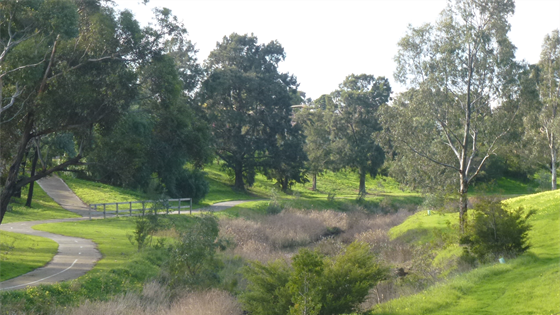 Brimbank Ardeer Green Hub Cycle Sports Master Plan 3