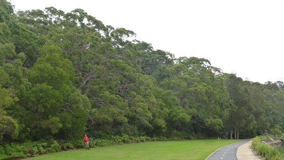 Mosman Open Space Recreational Needs Assessment 4