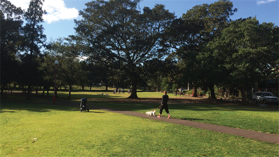 North Sydney Park