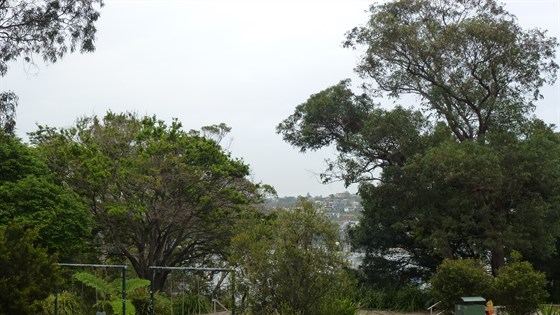 Mosman Open Space Recreational Needs Assessment 2