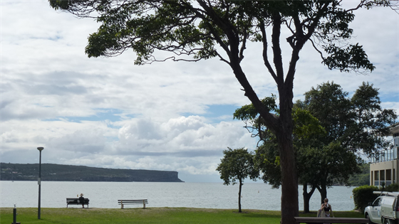 Mosman Open Space Recreational Needs Assessment