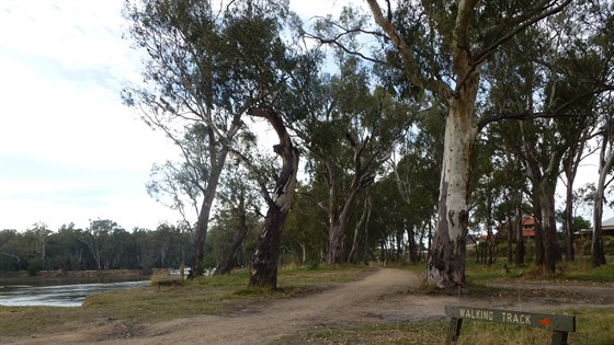 Moira Shire Identification and Audit of Regional Trails