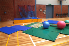 Frankston Kinder Gym Program Management Review