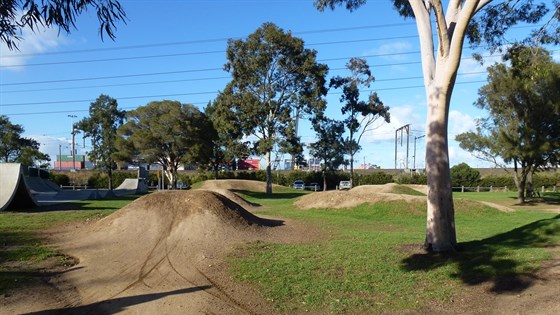 City of Melbourne Holland Park Skate and BMX Management Plan 4